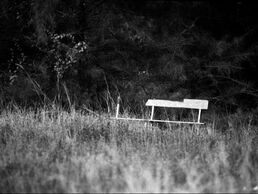 35mm Black and White